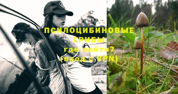 круглые Алзамай
