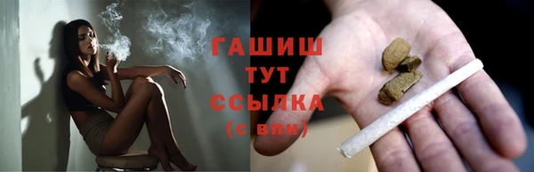 гашик Алексеевка