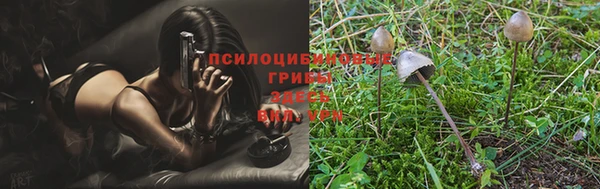 круглые Алзамай