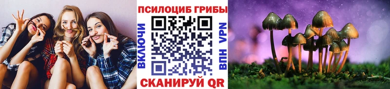 hydra зеркало Павловская Галлюциногенные грибы мухоморы